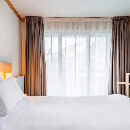 Le Morgane 酒店 霞慕尼